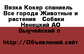 Вязка Кокер спаниель - Все города Животные и растения » Собаки   . Ненецкий АО,Выучейский п.